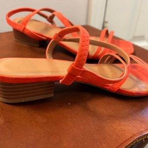 A new day sandals☀️🌊🏖️🏝️🩱